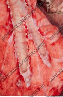 RAW meat pork 0078